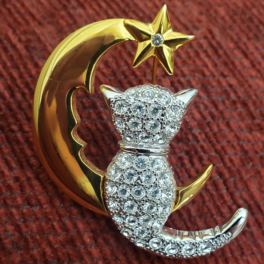 Vintage Cat on the Moon Pin